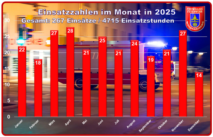Einsatzstatistik 2025 Einsatzstatistik 2025